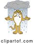 Vector Illustration of a Cartoon Bobcat Mascot Shrugging in the Rain, Symbolizing Acceptance by Mascot Junction
