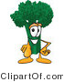 Vector Illustration of a Cartoon Broccoli Mascot Pointing Outwards by Mascot Junction