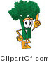 Vector Illustration of a Cartoon Broccoli Mascot Pointing up by Mascot Junction