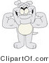 Vector Illustration of a Cartoon Bulldog Mascot Standing and Flexing by Toons4Biz