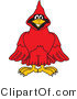 Vector Illustration of a Cartoon Cardinal Mascot by Mascot Junction