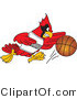 Vector Illustration of a Cartoon Cardinal Mascot Dribbling a Basketball by Mascot Junction