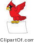 Vector Illustration of a Cartoon Cardinal Mascot Flying with a Blank Sign by Mascot Junction