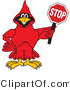 Vector Illustration of a Cartoon Cardinal Mascot Holding a Stop Sign by Mascot Junction
