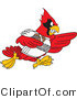 Vector Illustration of a Cartoon Cardinal Mascot Playing American Football by Mascot Junction