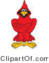 Vector Illustration of a Cartoon Cardinal Mascot with Crossed Arms by Toons4Biz