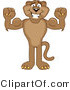 Vector Illustration of a Cartoon Cougar Mascot Character Flexing by Toons4Biz