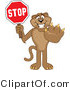 Vector Illustration of a Cartoon Cougar Mascot Character Holding a Stop Sign by Mascot Junction