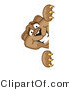 Vector Illustration of a Cartoon Cougar Mascot Character Looking Around a Corner by Mascot Junction