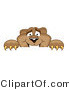 Vector Illustration of a Cartoon Cougar Mascot Character Peeking over a Surface by Mascot Junction