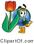 Vector Illustration of a Cartoon Globe Mascot with a Red Tulip Flower in the Spring by Mascot Junction