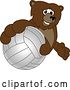 Vector Illustration of a Cartoon Grizzly Bear School Mascot Grabbing a Volleyball by Mascot Junction