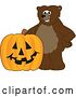Vector Illustration of a Cartoon Grizzly Bear School Mascot with a Halloween Jackolantern Pumpkin by Mascot Junction
