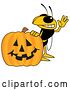 Vector Illustration of a Cartoon Hornet School Mascot with a Halloween Pumpkin by Mascot Junction