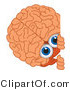 Vector Illustration of a Cartoon Human Brain Mascot Looking Around a Blank Sign by Mascot Junction