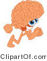 Vector Illustration of a Cartoon Human Brain Mascot Running by Mascot Junction