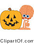 Vector Illustration of a Cartoon Human Brain Mascot with a Halloween Pumpkin by Mascot Junction