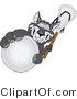Vector Illustration of a Cartoon Husky Mascot Grabbing a Lacrosse Ball by Mascot Junction