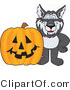 Vector Illustration of a Cartoon Husky Mascot with a Halloween Pumpkin by Mascot Junction