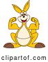 Vector Illustration of a Cartoon Kangaroo Mascot Flexing by Mascot Junction