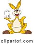 Vector Illustration of a Cartoon Kangaroo Mascot Holding a Tooth by Mascot Junction