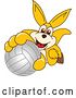 Vector Illustration of a Cartoon Kangaroo Mascot Holding up or Catching a Volleyball by Mascot Junction
