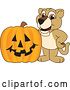 Vector Illustration of a Cartoon Lion Cub School Mascot with a Halloween Pumpkin by Mascot Junction