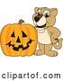 Vector Illustration of a Cartoon Lion Cub School Mascot with a Halloween Pumpkin by Toons4Biz