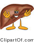 Vector Illustration of a Cartoon Liver Mascot Character by Toons4Biz