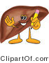 Vector Illustration of a Cartoon Liver Mascot Holding a Pencil by Toons4Biz