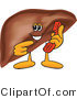 Vector Illustration of a Cartoon Liver Mascot Holding a Phone by Mascot Junction