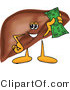 Vector Illustration of a Cartoon Liver Mascot Holding Cash by Mascot Junction