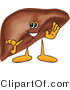 Vector Illustration of a Cartoon Liver Mascot Waving by Mascot Junction