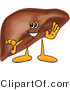 Vector Illustration of a Cartoon Liver Mascot Waving by Toons4Biz