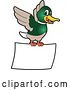 Vector Illustration of a Cartoon Mallard Duck School Mascot Flying with a Blank Sign by Mascot Junction