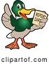 Vector Illustration of a Cartoon Mallard Duck School Mascot Holding a Report Card by Mascot Junction