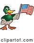 Vector Illustration of a Cartoon Mallard Duck School Mascot Holding an American Flag by Toons4Biz