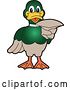 Vector Illustration of a Cartoon Mallard Duck School Mascot Pointing Outwards by Mascot Junction