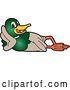 Vector Illustration of a Cartoon Mallard Duck School Mascot Resting on His Side by Mascot Junction