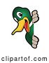 Vector Illustration of a Cartoon Mallard Duck School Mascot Smiling Around a Sign by Mascot Junction
