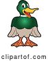 Vector Illustration of a Cartoon Mallard Duck School Mascot Smiling by Mascot Junction