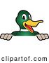 Vector Illustration of a Cartoon Mallard Duck School Mascot Smiling over a Sign by Mascot Junction