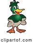 Vector Illustration of a Cartoon Mallard Duck School Mascot with Funky Hair by Mascot Junction