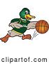 Vector Illustration of a Cartoon Mallard Duck School Sports Mascot Dribbling a Basketball by Mascot Junction