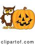 Vector Illustration of a Cartoon Owl School Mascot with a Halloween Pumpkin by Mascot Junction