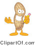 Vector Illustration of a Cartoon Peanut Mascot Holding a Pencil by Mascot Junction