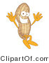 Vector Illustration of a Cartoon Peanut Mascot Jumping by Mascot Junction