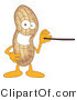 Vector Illustration of a Cartoon Peanut Mascot Using a Pointer Stick by Mascot Junction