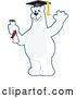 Vector Illustration of a Cartoon Polar Bear School Mascot Graduate Holding a Diploma and Waving by Mascot Junction