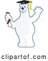 Vector Illustration of a Cartoon Polar Bear School Mascot Graduate Holding a Diploma and Waving by Toons4Biz